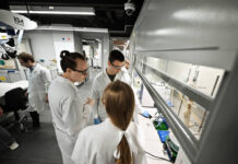 Развитие науки и технологий получит мощный импульс 7745b91d-c739-4806-95ce-2f3606435cae-67f32f9e