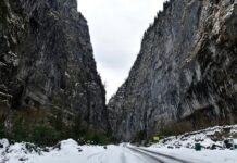 Успешное завершение поисковой операции в горах Абхазии 8410de54-d421-49d1-ad76-836c6cb05275-67fbe6af