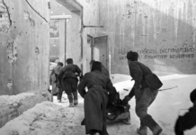 Уникальные военные документы времен Сталинградской битвы стали достоянием общественности 89703f2d-a385-4ec0-a064-5a208faecb20-67f2a269