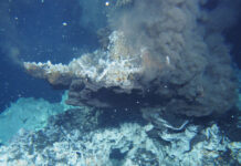 Революционное открытие о влиянии древних цивилизаций на экологию 8e9033be-e4a6-42d2-8d81-bb7001b1ee8a-67f1f5ea