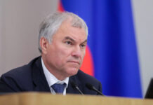 Володин поручил разобраться в ситуации с задержанием Ускова в Марий Эл a67b9043-3126-4861-b395-405c7938da4f-67fea3cd