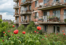 Эксперт по ЖКХ Бондарь предупреждает о запрете высадки отдельных растений у жилых домов accffdf9-4145-437a-ae4a-fe10ecd36f87-68026d2f