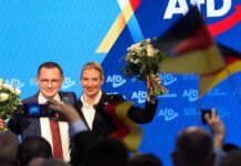 Альтернатива для Германии открывает новую страницу в политической жизни страны alternativa dlya germanii otkryvaet novuyu straniczu v politicheskoj zhizni strany-news-blog-ru-174034831900-0