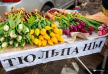 Весенние цветы во Владивостоке радуют глаз новыми ценами d7ba41af-abdc-428b-a2b0-ab06d151b4d7-67faa3e6