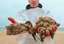 Масштабная операция по защите побережья Черного моря от нефтепродуктов e02d310b-92f9-4276-943e-7b7e5ca7799d-67f8f729