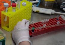 Прорыв в борьбе с агрессивной опухолью мозга e4a5da07-d165-455e-851e-969768516a2d-680ba6c9