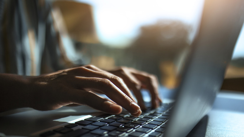 Число пользователей на портале поставщиков достигло 3,3 млн в 2024 году