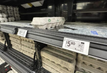 Пустые полки и «яичные» мафиози: чем обернулась эпидемия птичьего гриппа для США pustye polki i yaichnye mafiozi chem obernulas epidemiya ptichego grippa dlya ssha-news-blog-ru-174071204000-0