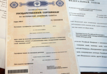 Юрист разъяснил важность отметки о гражданстве для оформления маткапитала yurist razyasnil vazhnost otmetki o grazhdanstve dlya oformleniya matkapitala-news-blog-ru-174022594400-0