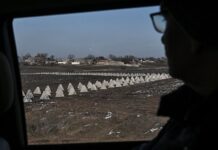 Геополитическая игра Турции открывает новые фронты сотрудничества geopoliticheskaya igra turczii otkryvaet novye fronty sotrudnichestva-news-blog-ru-174186456200-0