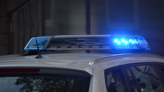 inczident v solnczevo shkolniki ostalis nevredimy blagodarya operativnoj reakczii policzii-news-blog-ru-174155540300-0