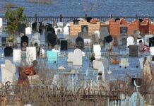 МЧС активно действует против паводков в Оренбургской и Челябинской областях этой весной mchs aktivno dejstvuet protiv pavodkov v orenburgskoj i chelyabinskoj oblastyah etoj vesnoj-news-blog-ru-174230495700-0