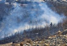 МЧС России активно борется с пожарами в Приморье и Владивостоке за прошедшие сутки mchs rossii aktivno boretsya s pozharami v primore i vladivostoke za proshedshie sutki-news-blog-ru-174232866700-0