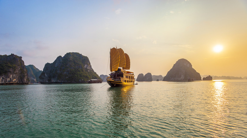 Москва в 2024 году нарастила экспорт продуктов питания во Вьетнам на 28%