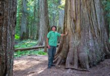 Эти великаны: 7 самых высоких деревьев в мире Hike in forest