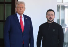 Офицер Дэвис назвал единственный путь к спасению Украины oficzer devis nazval edinstvennyj put k spaseniyu ukrainy-news-blog-ru-174120910400-0