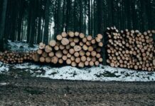 Правосудие настигло виновного в трагедии села Чунояр Красноярского края после 17 лет поисков pravosudie nastiglo vinovnogo v tragedii sela chunoyar krasnoyarskogo kraya posle 17 let poiskov-news-blog-ru-174223335100-0