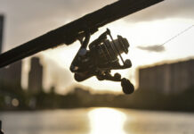 Рыбак из Миннесоты сразил рекордную палию на озере Верхнее и вдохновил Аризону ЛЮБИТЕЛЬСКАЯ РЫБАЛКА