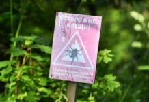 Ширин Ораева и Андрей Продеус раскрыли важные шаги после укуса клеща Всесезонный курорт Манжерок на Алтае