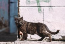 Солнечная пятница порадует приморцев теплой погодой solnechnaya pyatnicza poraduet primorczev teploj pogodoj-news-blog-ru-174091780600-0