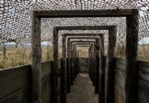 Суджа в огне оккупации — история выживания под ударами ВСУ и путь к Курску sudzha v ogne okkupaczii istoriya vyzhivaniya pod udarami vsu i put k kursku-news-blog-ru-174254583100-0