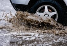 Свежий снег и временное похолодание порадуют жителей Приморья в выходные svezhij sneg i vremennoe poholodanie poraduyut zhitelej primorya v vyhodnye-news-blog-ru-174283145500-0