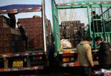 Торговая война достигает сельскохозяйственных угодий torgovaya vojna dostigaet selskohozyajstvennyh ugodij-news-blog-ru-174111669400-0