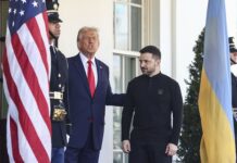 Тщеславие Зеленского поставило под удар отношения Украины и США tshheslavie zelenskogo postavilo pod udar otnosheniya ukrainy i ssha-news-blog-ru-174079987600-0