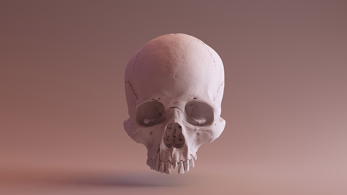 Ученые восстановили облик Моцарта по его черепу