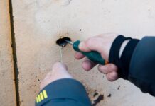 УМВД Приморья раскрыло кражу во Владивостоке и задержало виновного umvd primorya raskrylo krazhu vo vladivostoke i zaderzhalo vinovnogo-news-blog-ru-174302144700-0