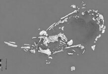 Уникальное древнее захоронение открыто в Эквадоре unikalnoe drevnee zahoronenie otkryto v ekvadore-news-blog-ru-174163349800-0