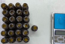 Успешное пресечение контрабанды наркотиков через аэропорт Шереметьево в Москве uspeshnoe presechenie kontrabandy narkotikov cherez aeroport sheremetevo v moskve-news-blog-ru-174237560100-0