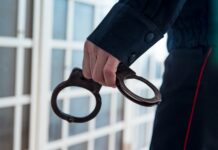 Житель Владивостока задержан за нарушение порядка в общественном транспорте zhitel vladivostoka zaderzhan za narushenie poryadka v obshhestvennom transporte-news-blog-ru-174292796000-0