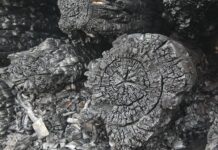 Атаки дронов ВСУ в Брянской области - 18 домов уничтожено в Новом Ропске ataki dronov vsu v bryanskoj oblasti 18 domov unichtozheno v novom ropske-news-blog-ru-174482595500-0