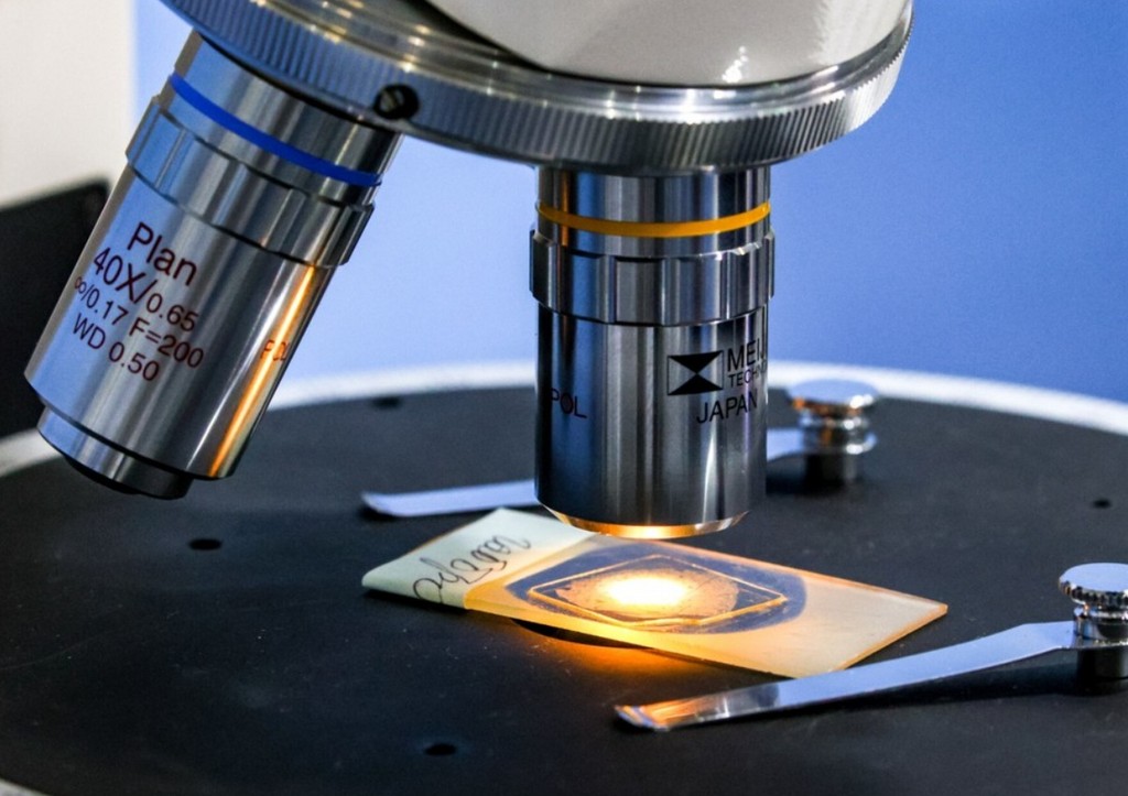 В Белом доме раскрыли «истинное происхождение» коронавируса