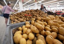 Борис Чернышов предлагает регулирование цен на картофель при поддержке Минэкономразвития boris chernyshov predlagaet regulirovanie czen na kartofel pri podderzhke minekonomrazvitiya-news-blog-ru-174350169000-0