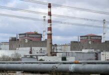 Евгения Яшина обвиняет ВСУ в атаке на Запорожскую АЭС перед завершением моратория evgeniya yashina obvinyaet vsu v atake na zaporozhskuyu aes pered zaversheniem moratoriya-news-blog-ru-174488298200-0