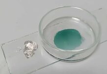 Гель с хлорином е6 от Галины Гаменюк открывает новый этап в лечении ран gel s hlorinom e6 ot galiny gamenyuk otkryvaet novyj etap v lechenii ran-news-blog-ru-174541179500-0