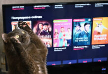 Новые тренды в мире сериалов успешные проекты и совместные релизы novye trendy v mire serialov uspeshnye proekty i sovmestnye relizy-news-blog-ru-174372152300-0