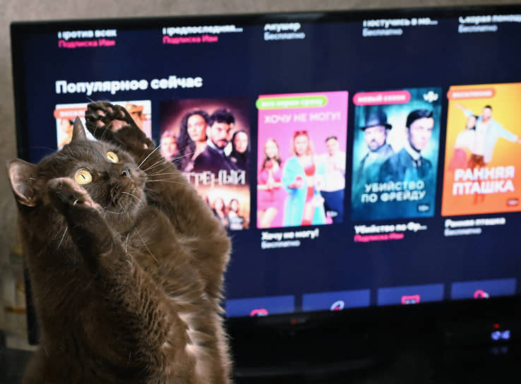 Новые тренды в мире сериалов успешные проекты и совместные релизы-0