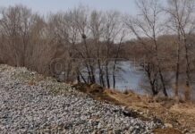 Обновление дамбы Орска и устойчивость Ириклинского водохранилища в планах Оренбуржья obnovlenie damby orska i ustojchivost iriklinskogo vodohranilishha v planah orenburzhya-news-blog-ru-174360697700-0