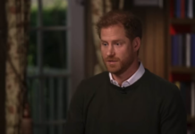 Принц Гарри находит свет в памяти Принцессы Дианы и делится исцелением princz garri nahodit svet v pamyati princzessy diany i delitsya isczeleniem-news-blog-ru-174388822100-0