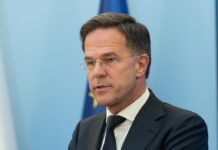 Россия должна действовать быстрее для мира Украины Рютте требует rossiya dolzhna dejstvovat bystree dlya mira ukrainy ryutte trebuet-news-blog-ru-174383902600-0