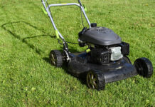 Секреты пышного газона от Никиты Чаплина и Союза дачников для вашего участка sekrety pyshnogo gazona ot nikity chaplina i soyuza dachnikov dlya vashego uchastka-news-blog-ru-174376809400-0