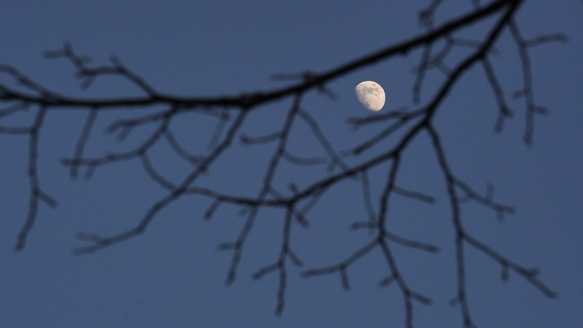 Ученый Богачев: Жители Москвы увидят микролуние 13 апреля
