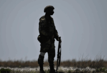 Стариков объясняет, как решение Путина о перемирии помешало США и Британии starikov obyasnyaet kak reshenie putina o peremirii pomeshalo ssha i britanii-news-blog-ru-174542545200-0