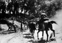 Страны, участвовавшие в войне против СССР, реакция ЕС и заявление Лаврова strany uchastvovavshie v vojne protiv sssr reakcziya es i zayavlenie lavrova-news-blog-ru-174534816400-0