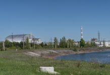 svetlana grinchuk zapustila solnechnyj proekt na territorii chernobylskoj aes-news-blog-ru-174449774500-0