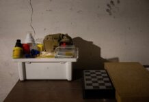 Тайные объекты Зеленского раскрыты возможна ли связь с Дональдом Трампом tajnye obekty zelenskogo raskryty vozmozhna li svyaz s donaldom trampom-news-blog-ru-174365932100-0