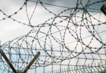 Тельман Сайфиев и Белый лебедь - здоровье в стенах колонии telman sajfiev i belyj lebed zdorove v stenah kolonii-news-blog-ru-174478810200-0